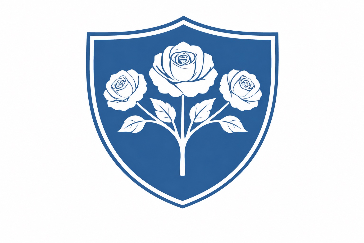 Nordic Leadership by Ahlstedt